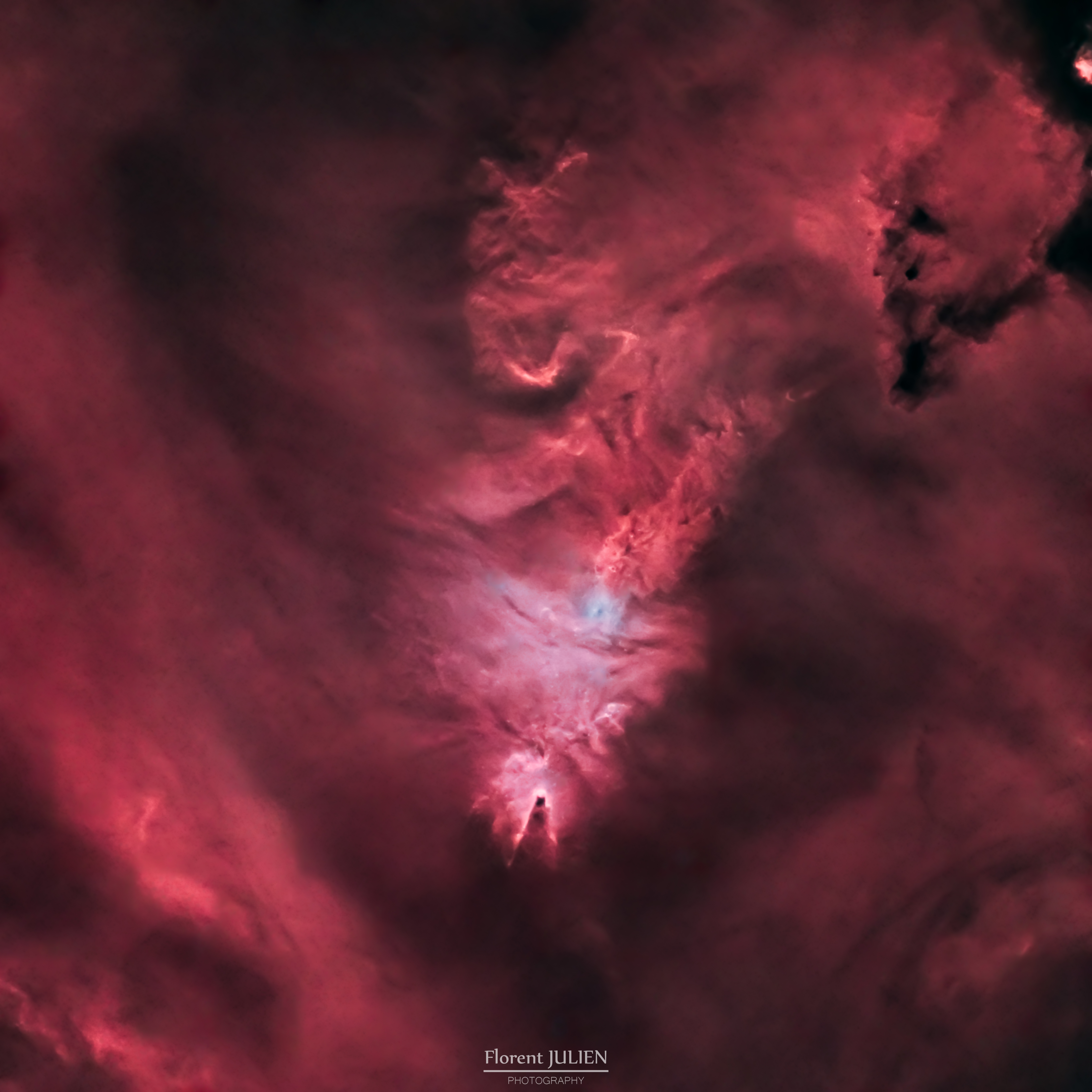 NGC 2264- Nébuleuse de l'arbre de Noël