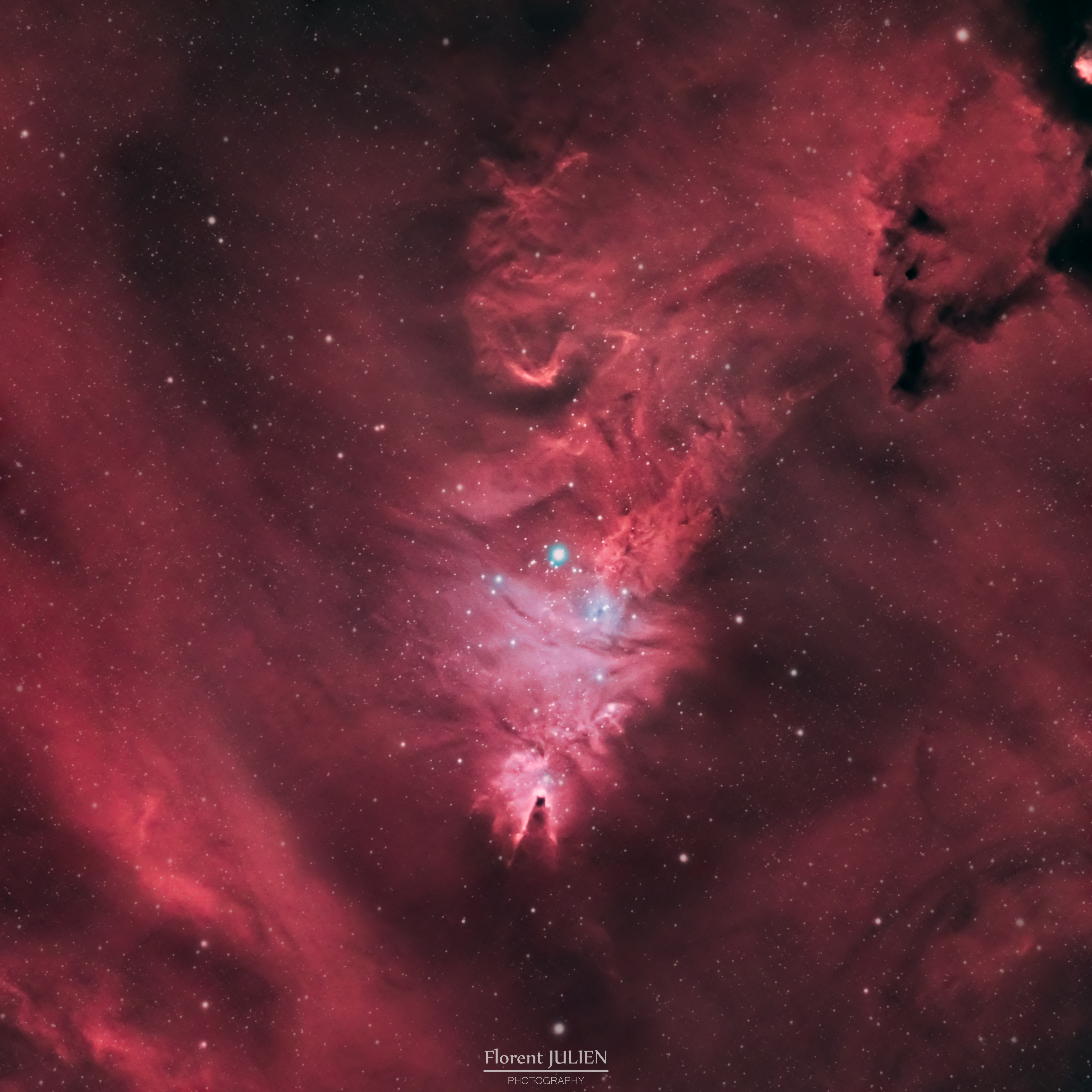 NGC 2264- Nébuleuse de l'arbre de Noël