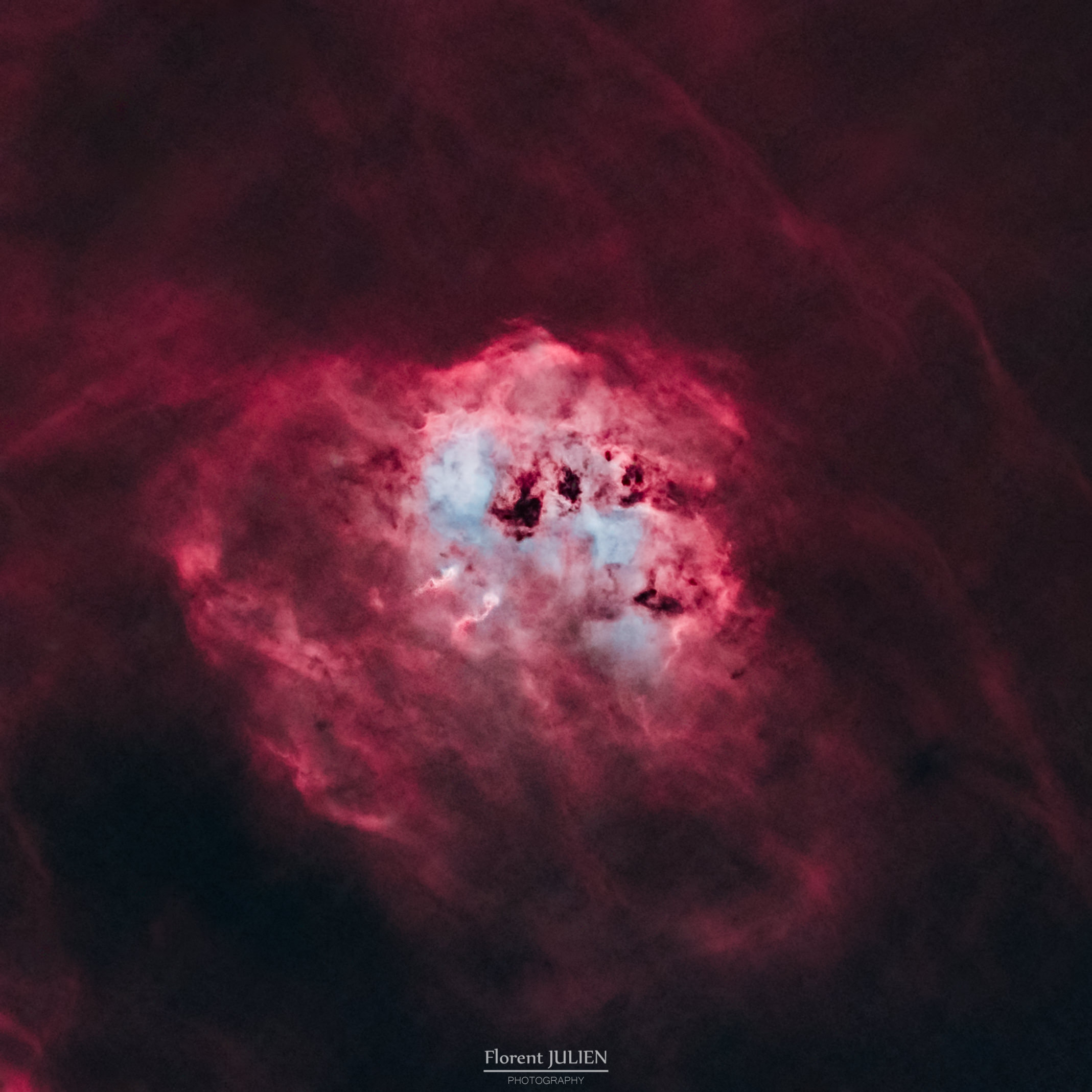 IC 410 - The Tadpoles Nebulae (starless)