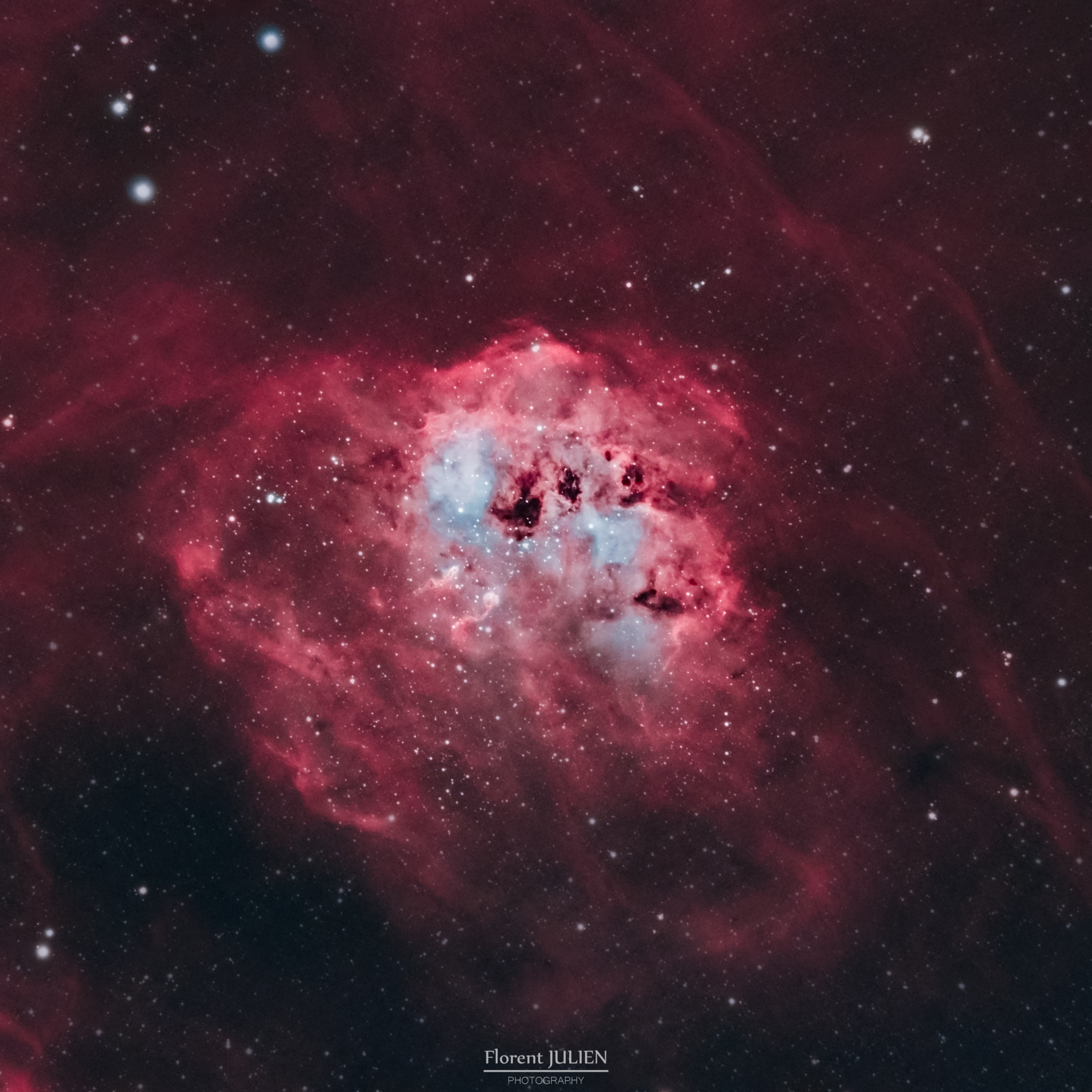 IC 410 - The Tadpoles Nebulae