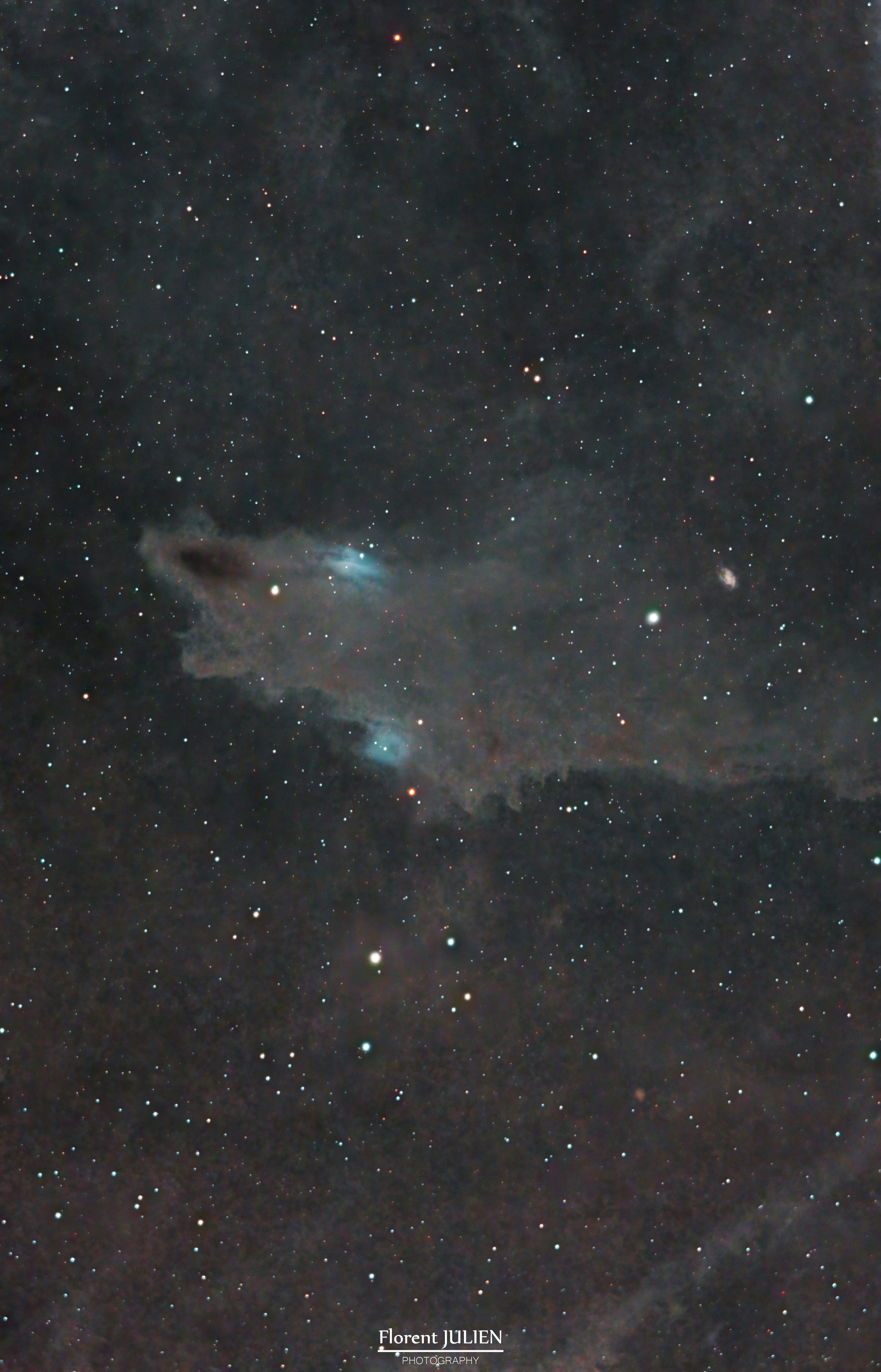LDN1235 - The Dark Shark Nebula