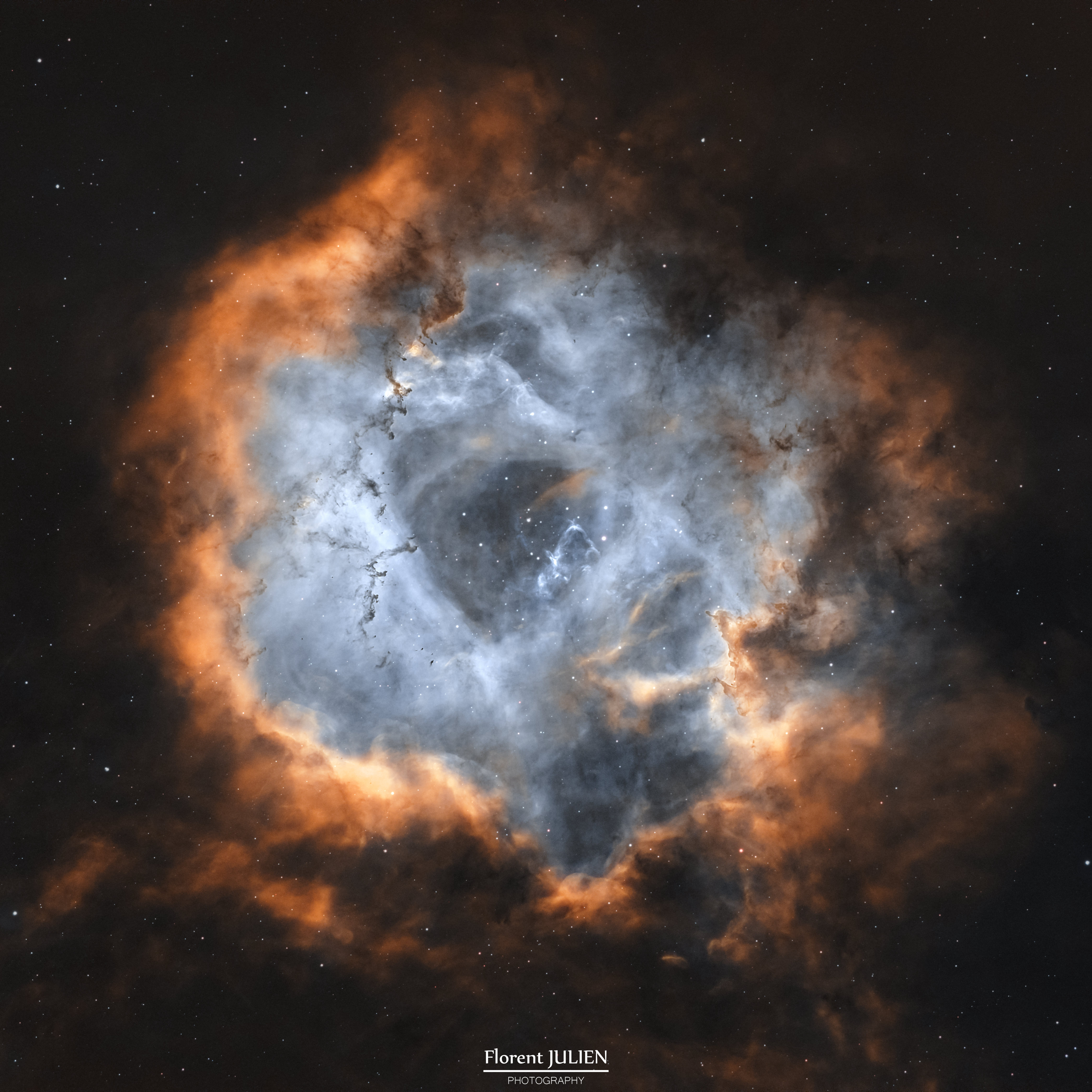 NGC2244 - Nébuleuse de la Rosette - SHO