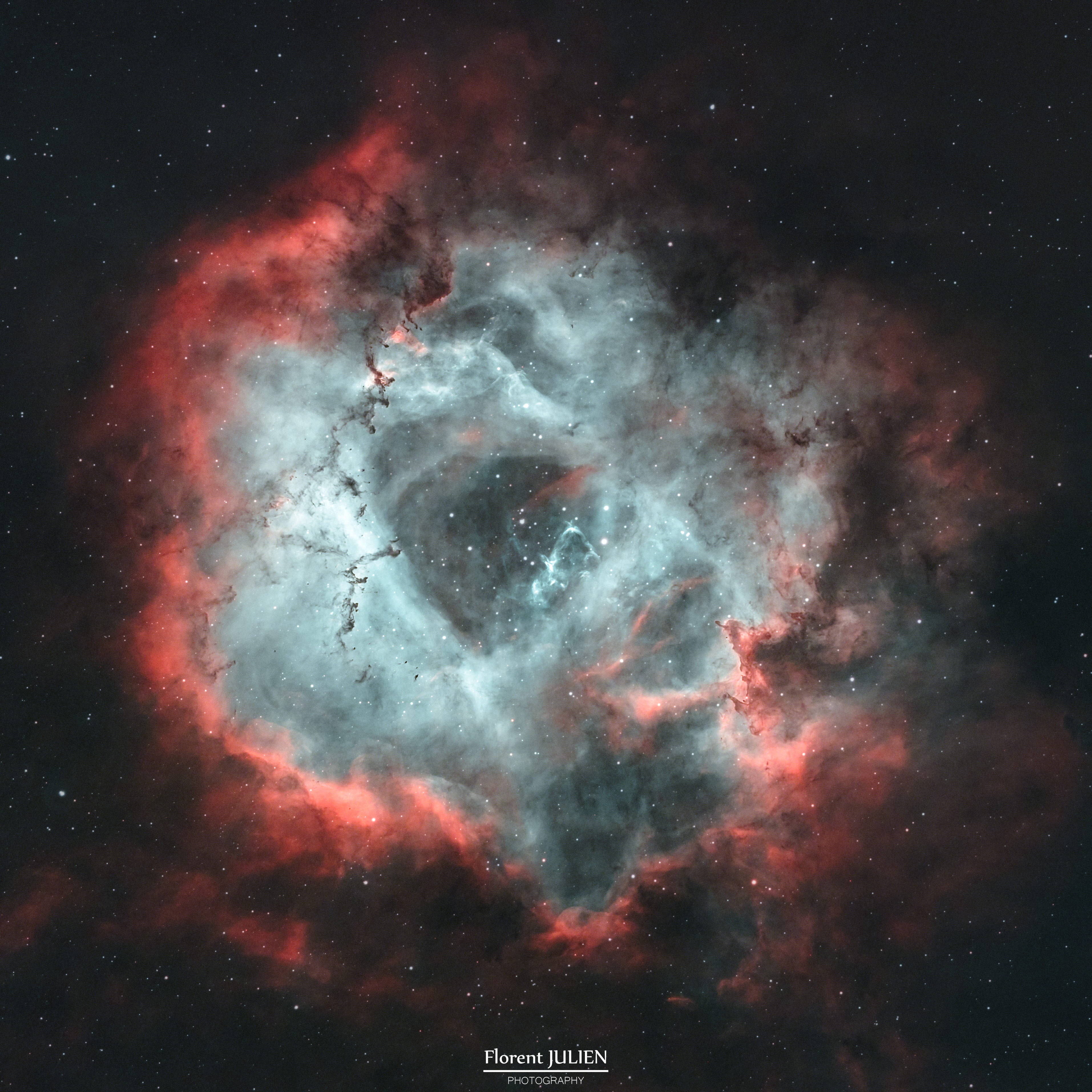 NGC2244 - Nébuleuse de la Rosette - HOO