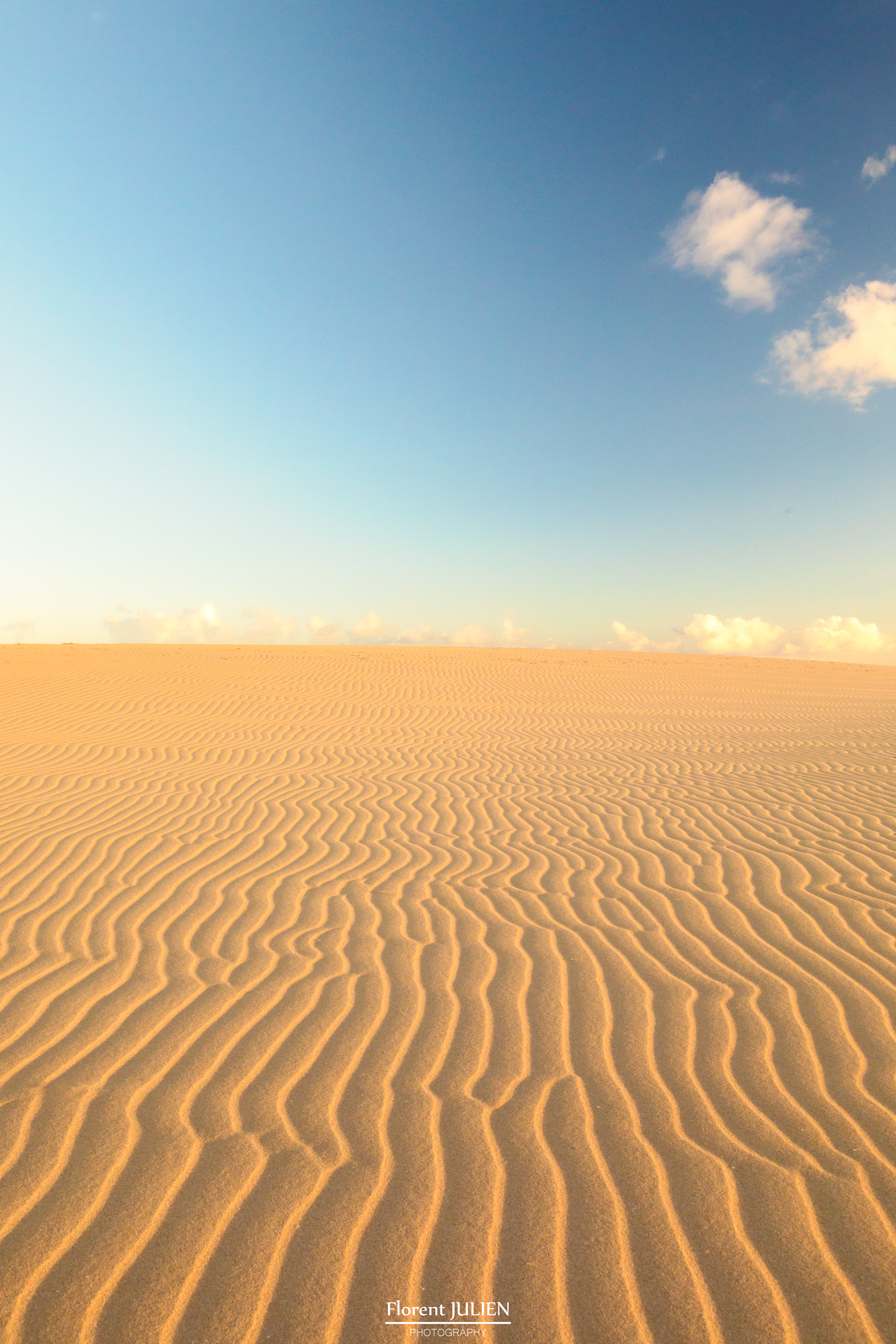 Dunes of Corralejo