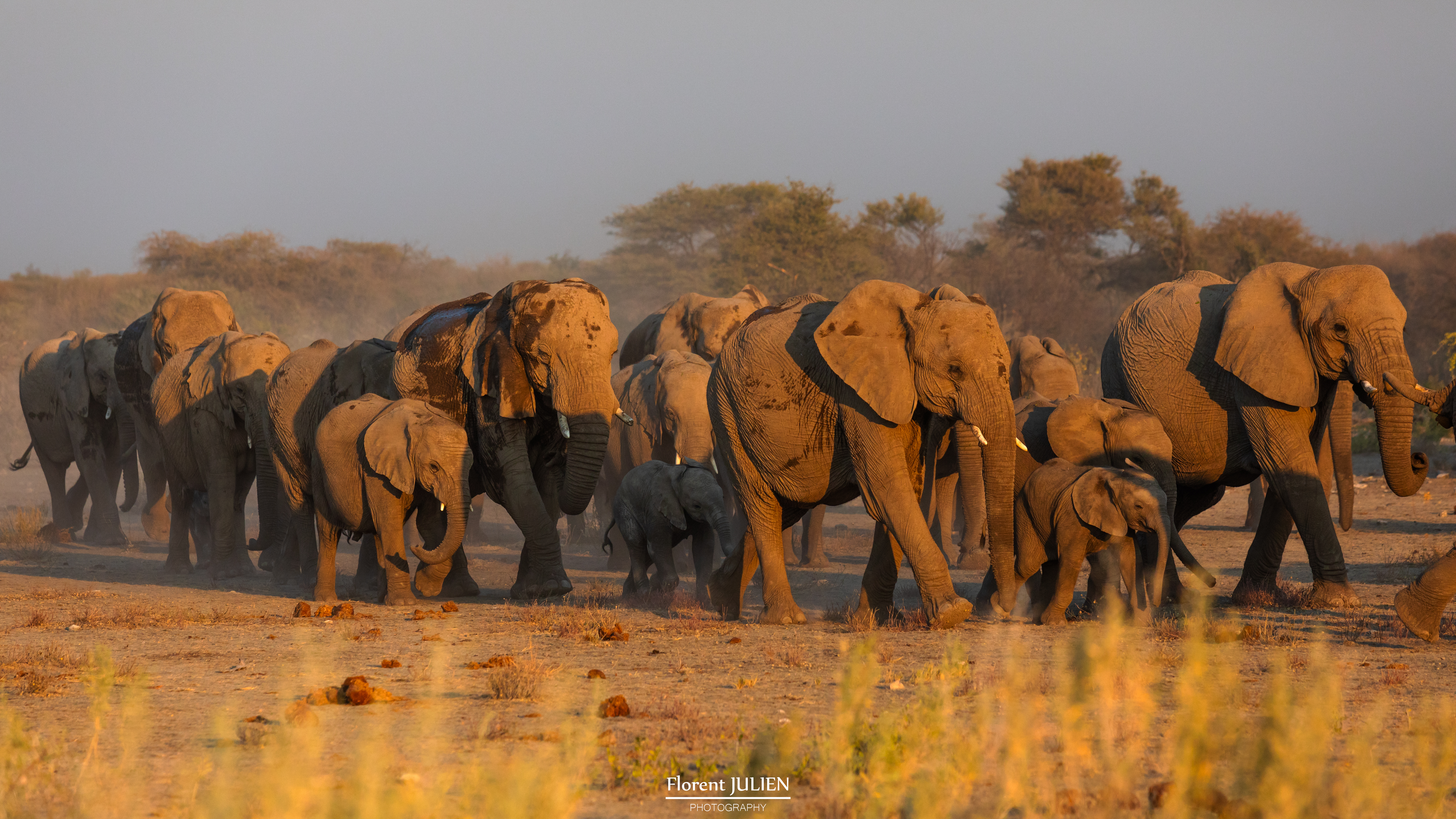 Etosha National Park