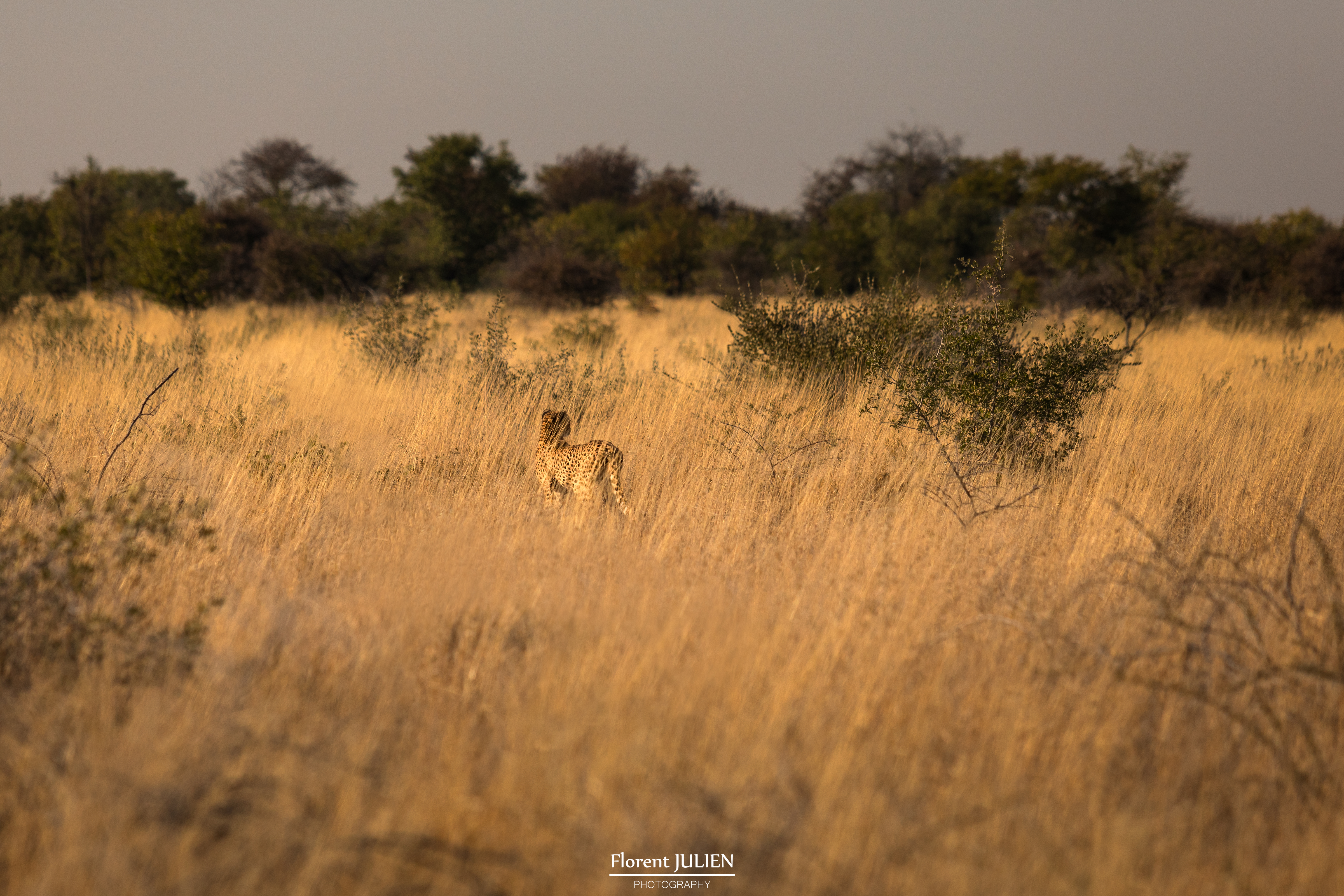 Etosha National Park