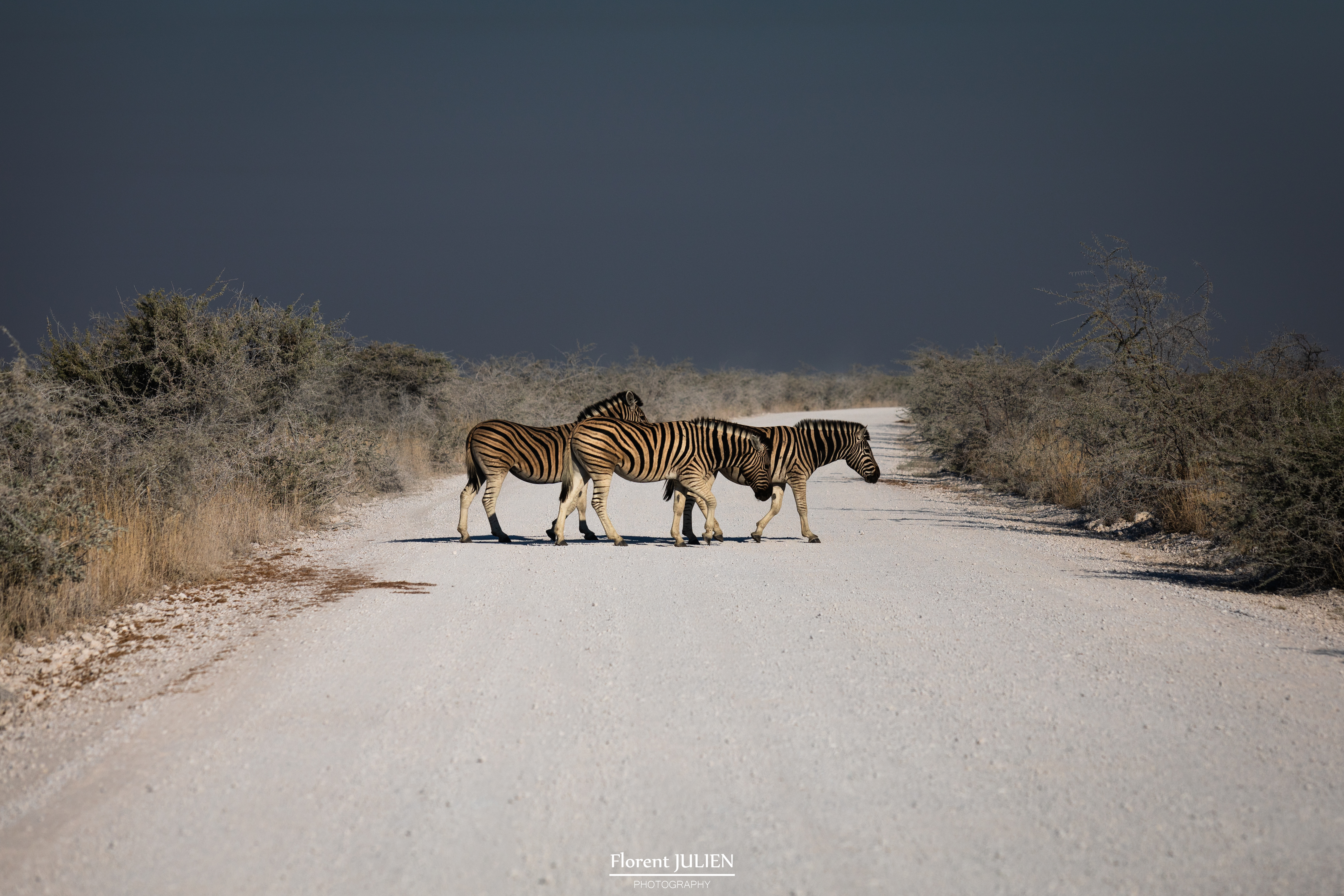 Etosha National Park