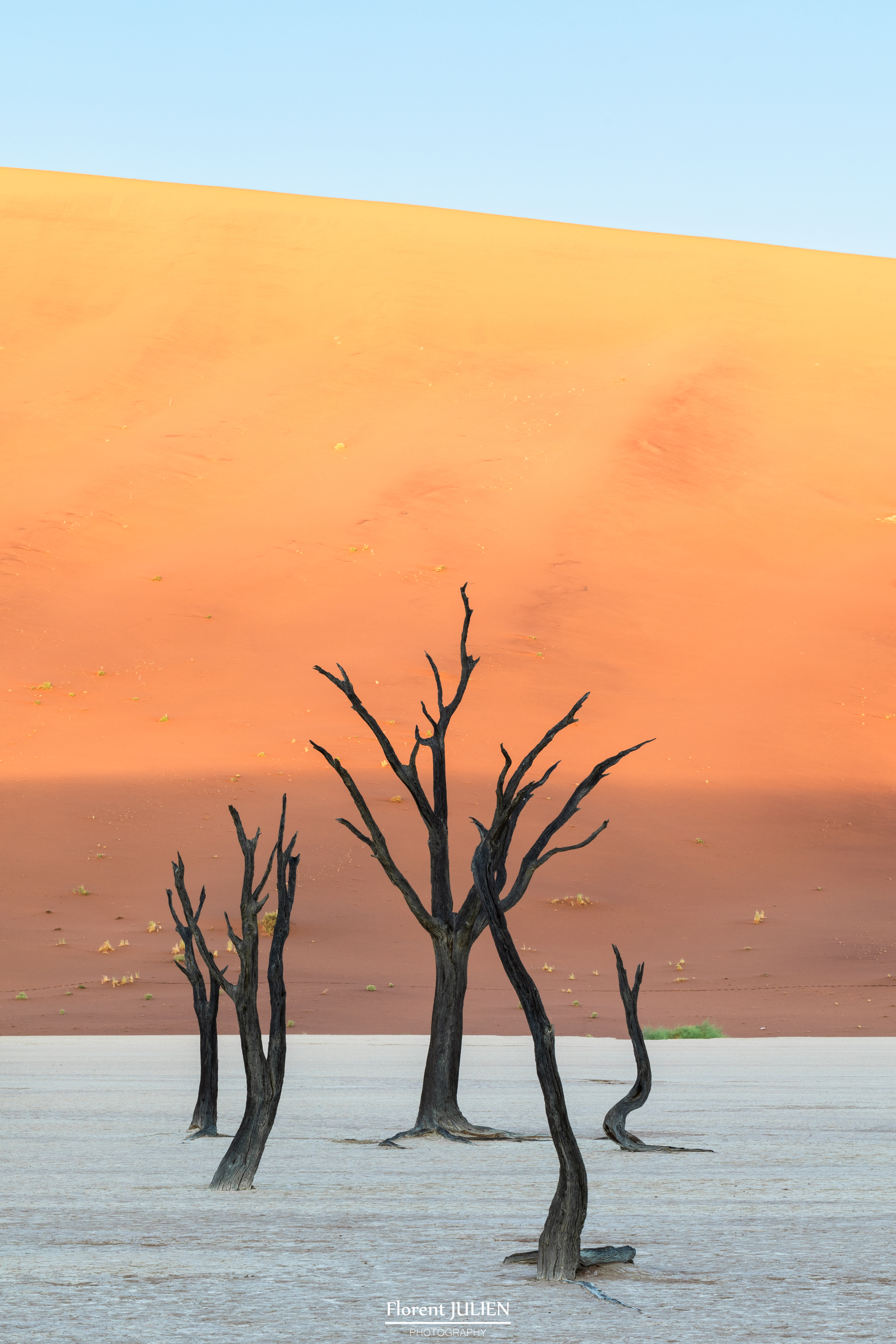 Dead Vlei