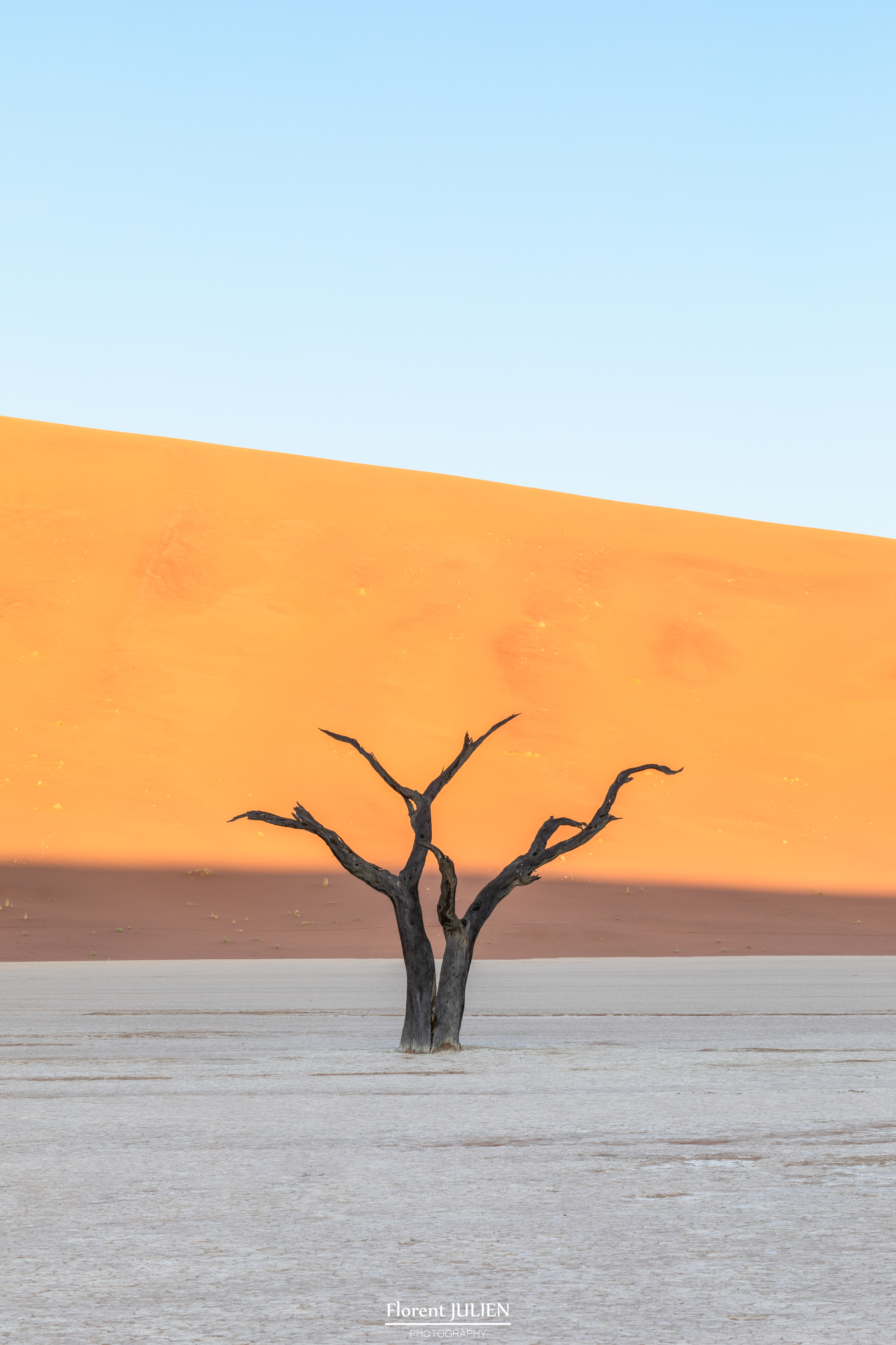 Dead Vlei