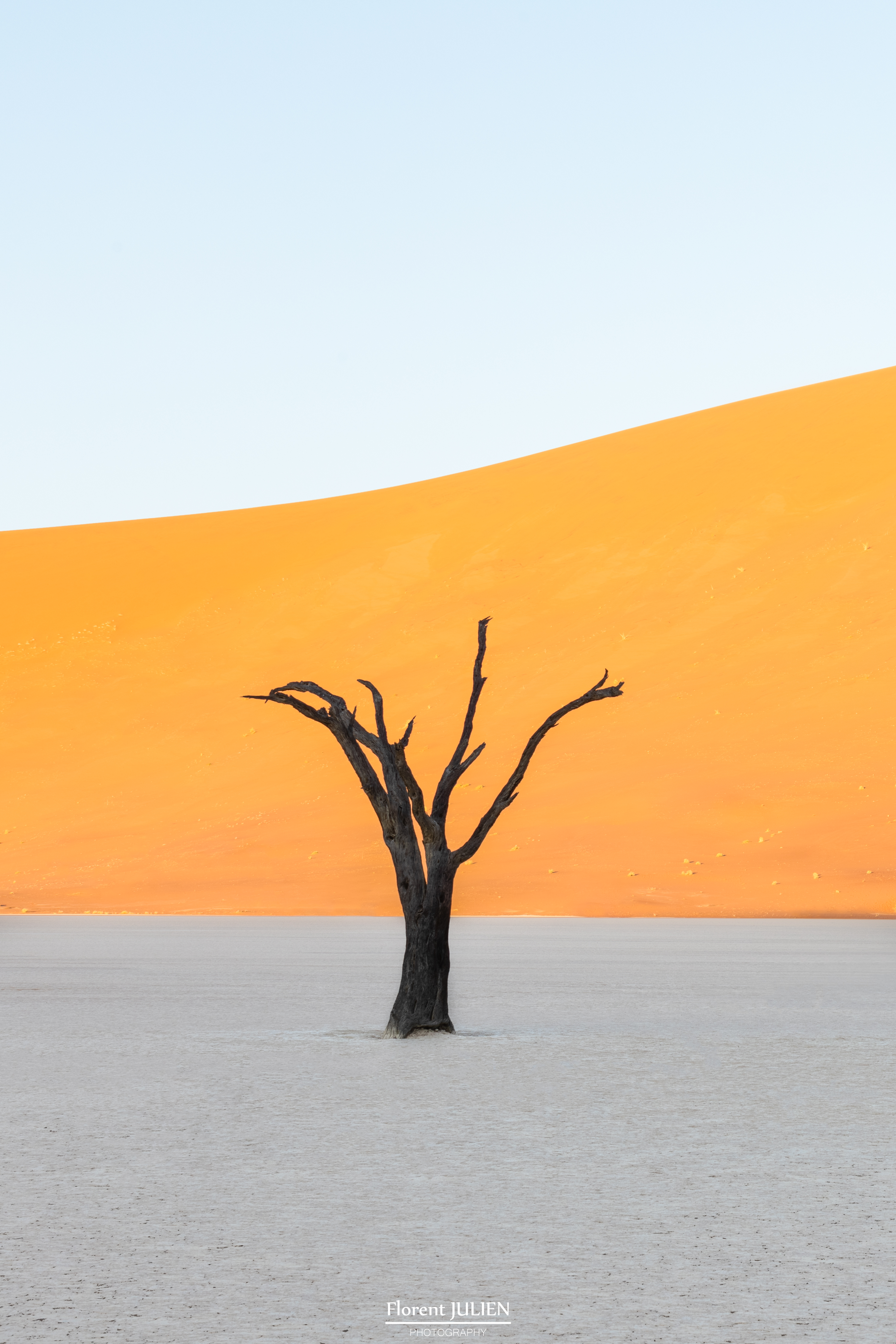 Dead Vlei
