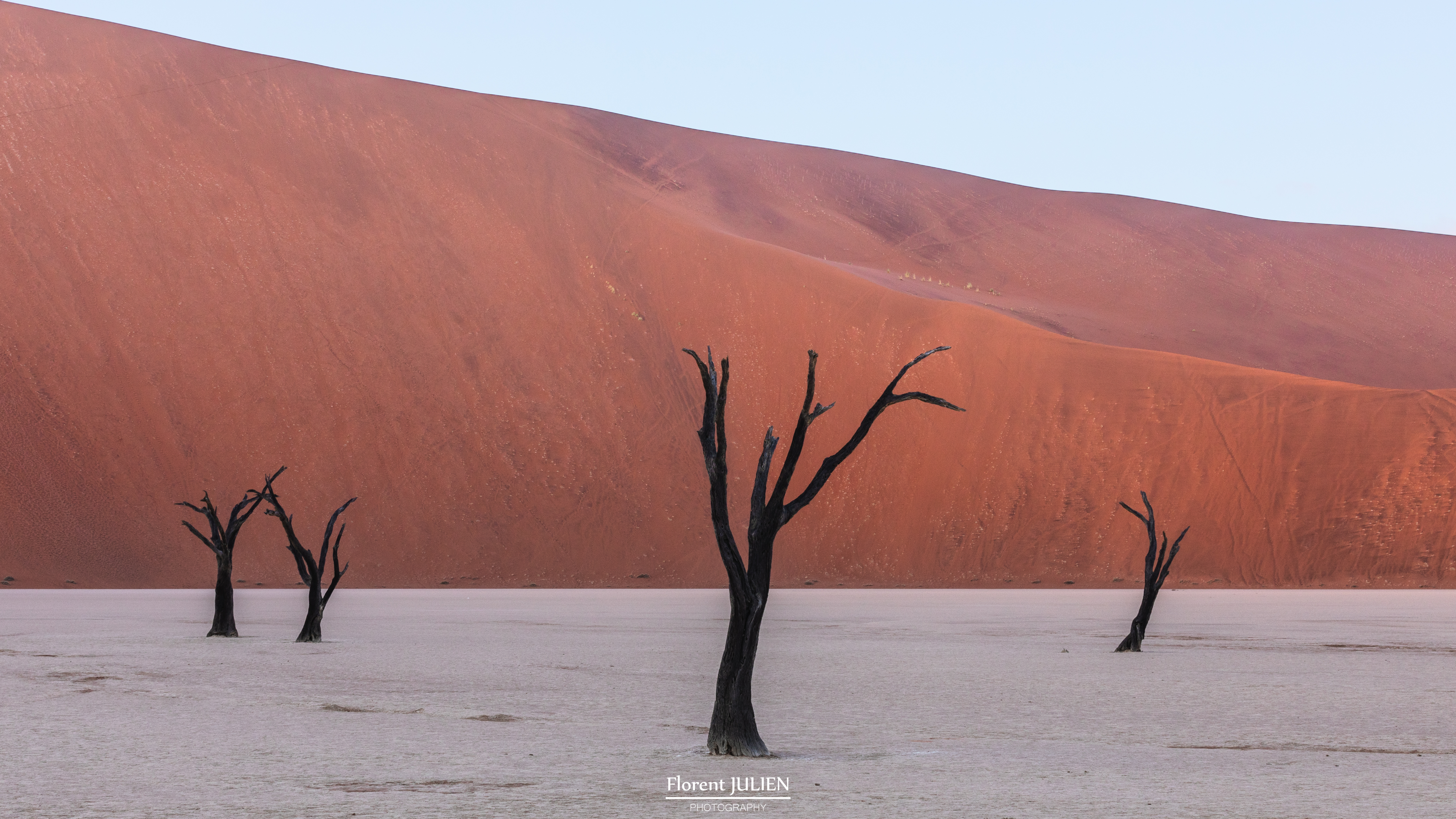 Dead Vlei