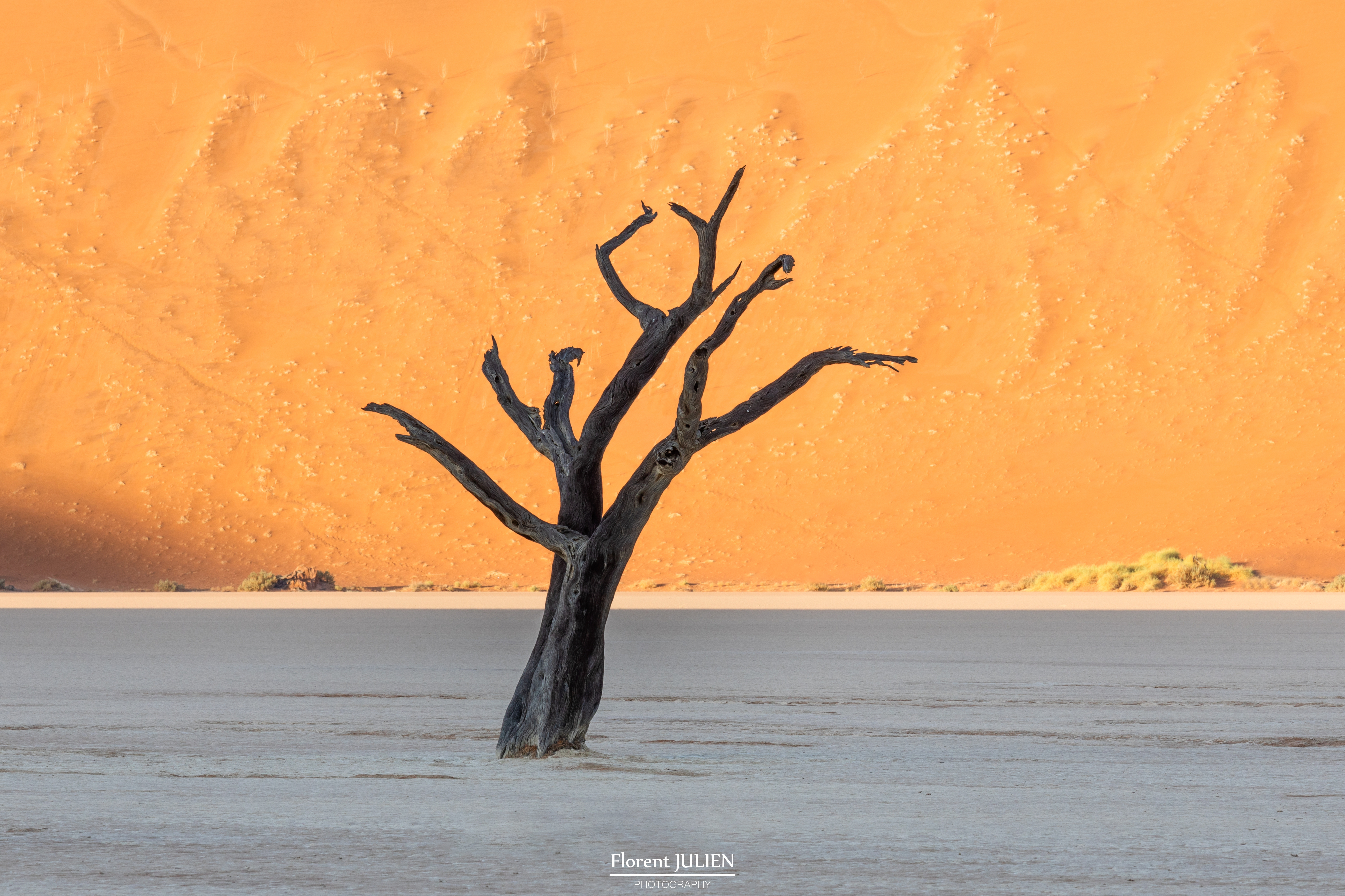 Dead Vlei