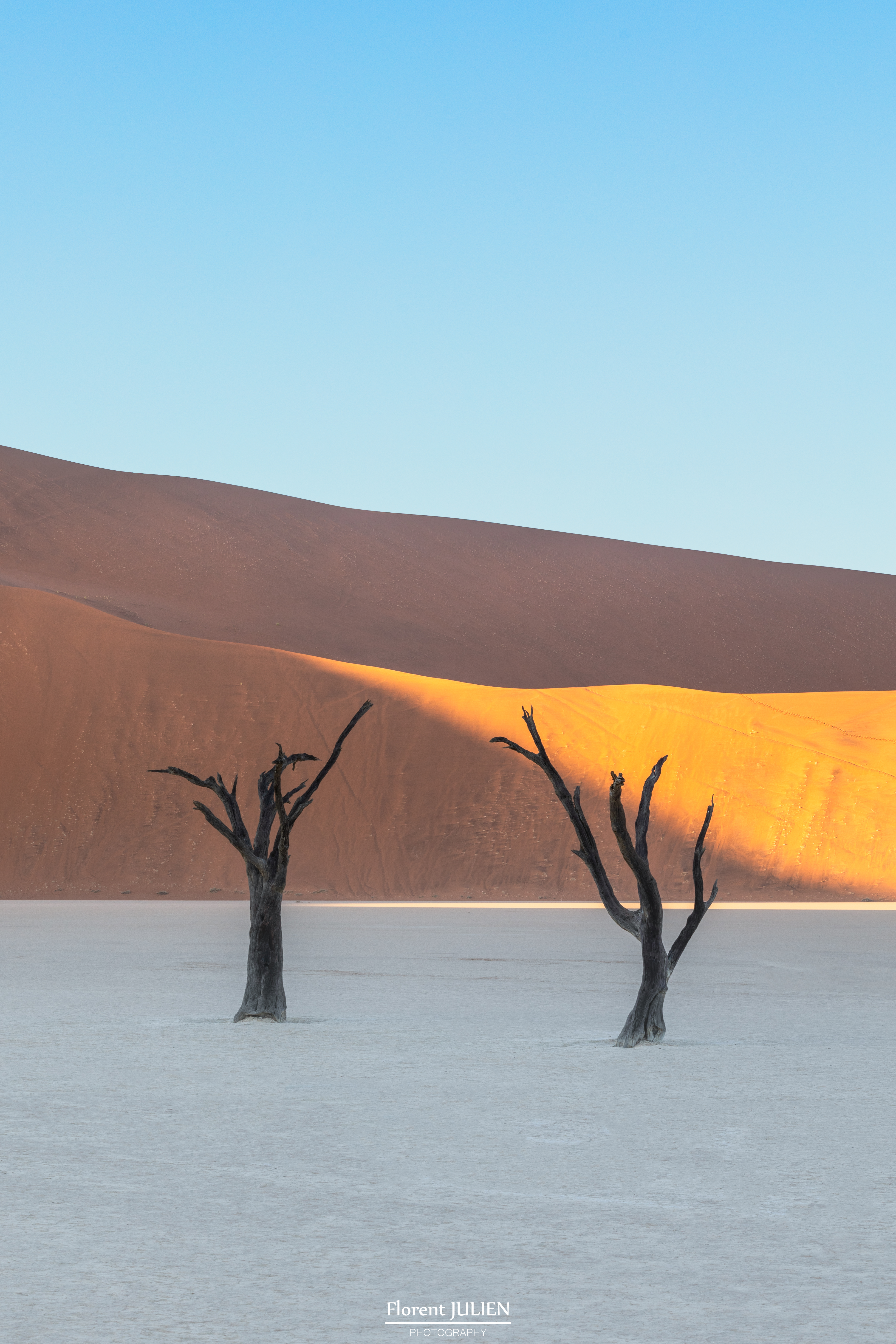 Dead Vlei