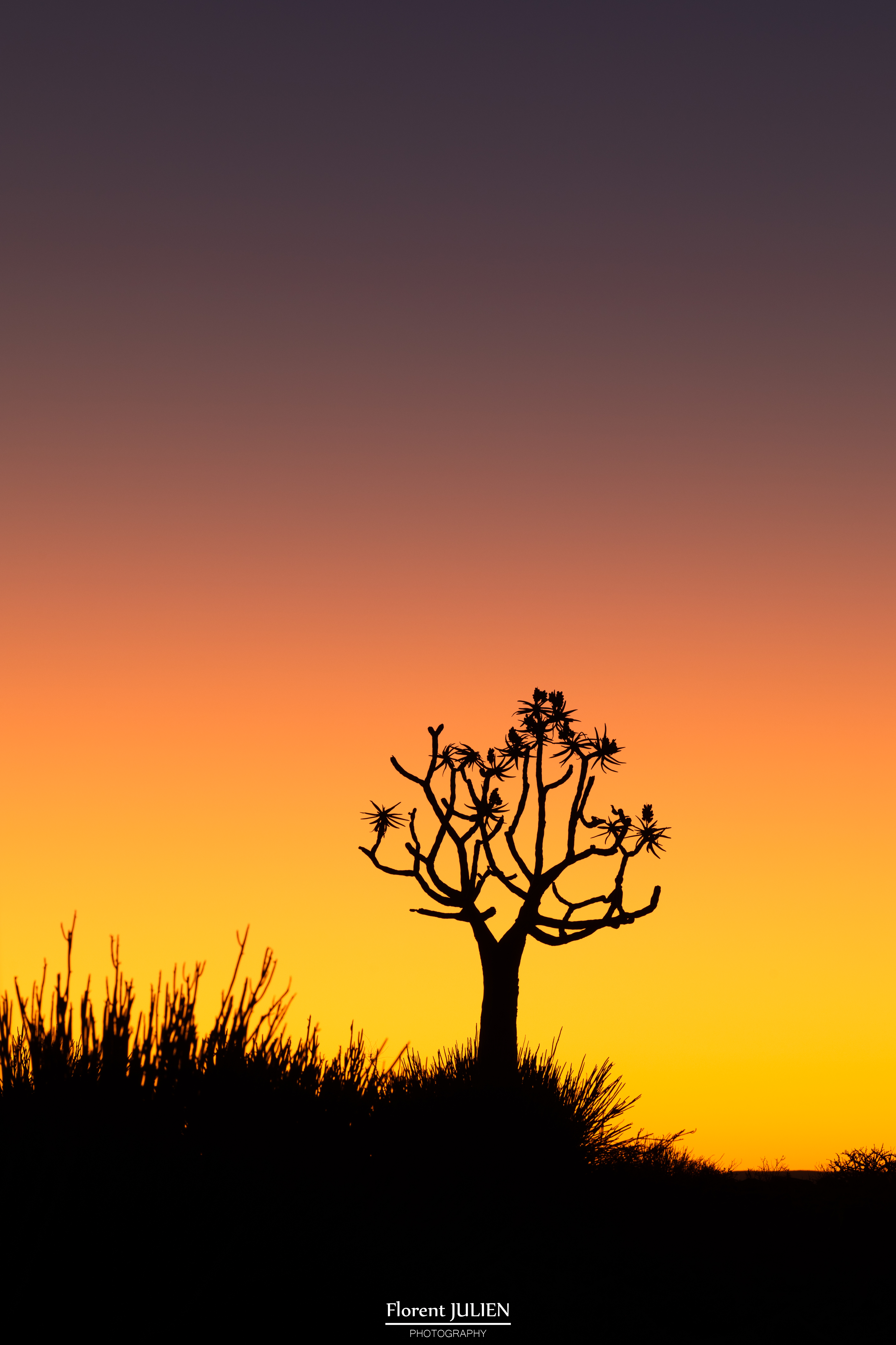 Namibian Sunset