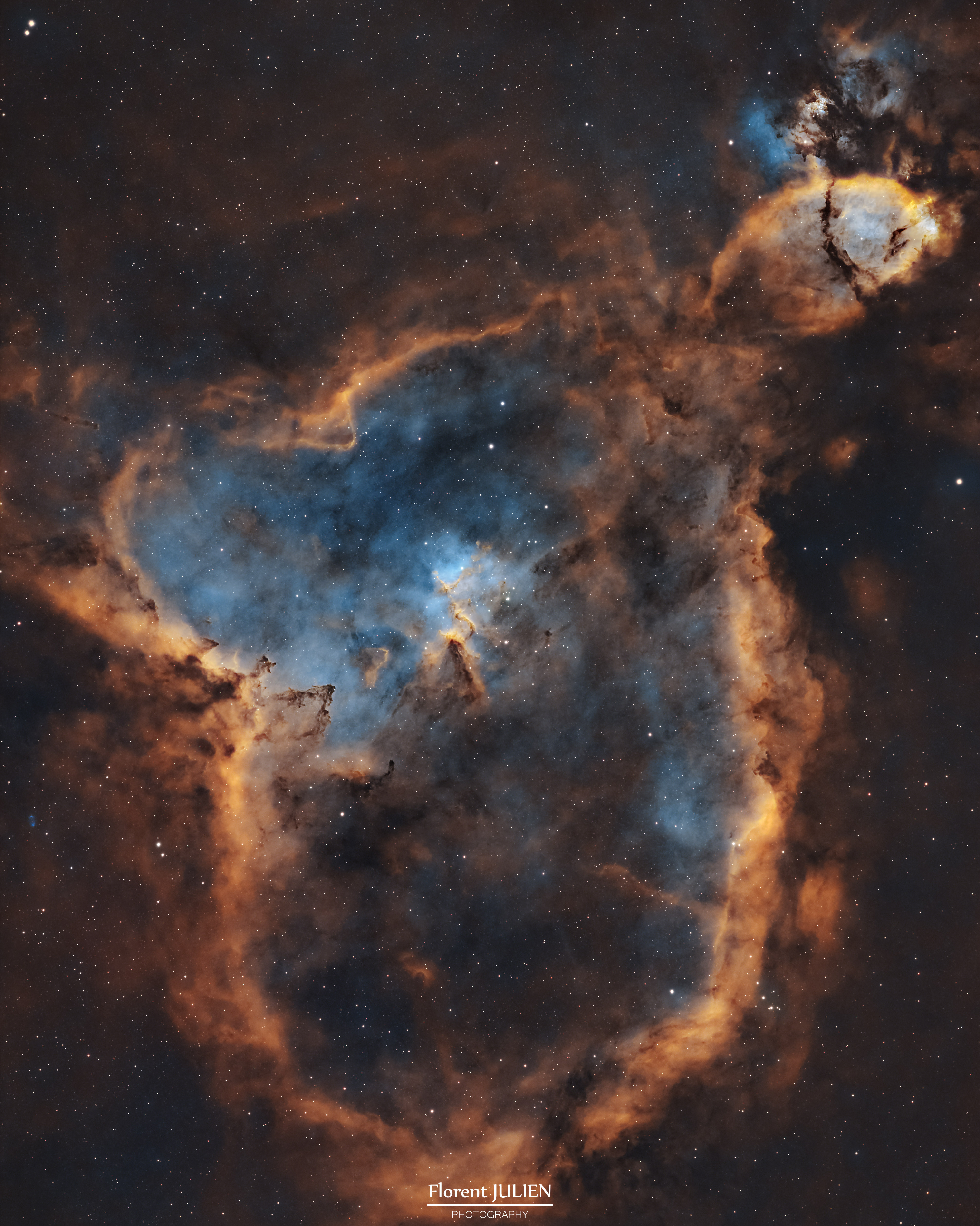 IC1805-SHO