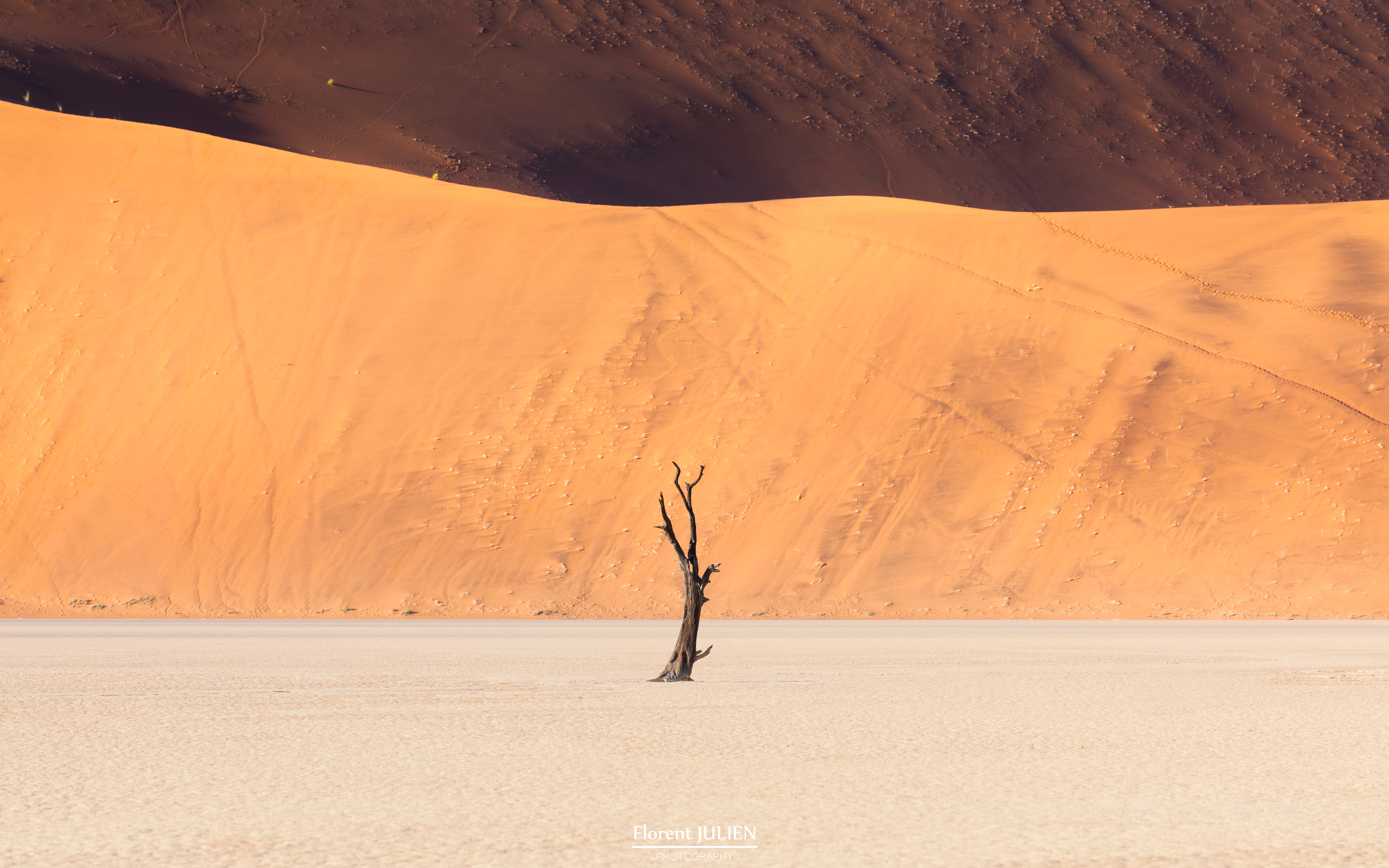 Dead Vlei