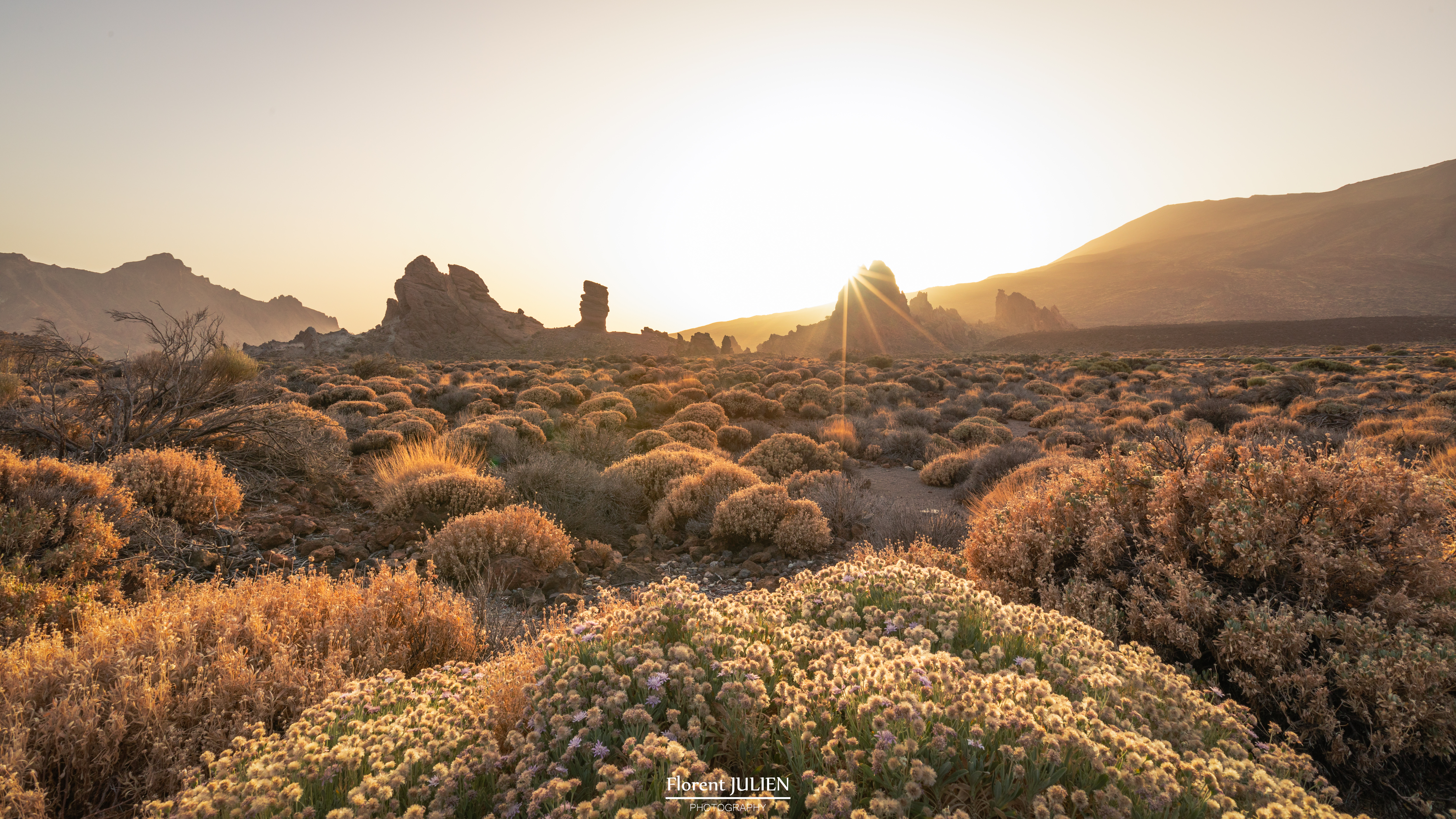 Parque Nacional del Teide