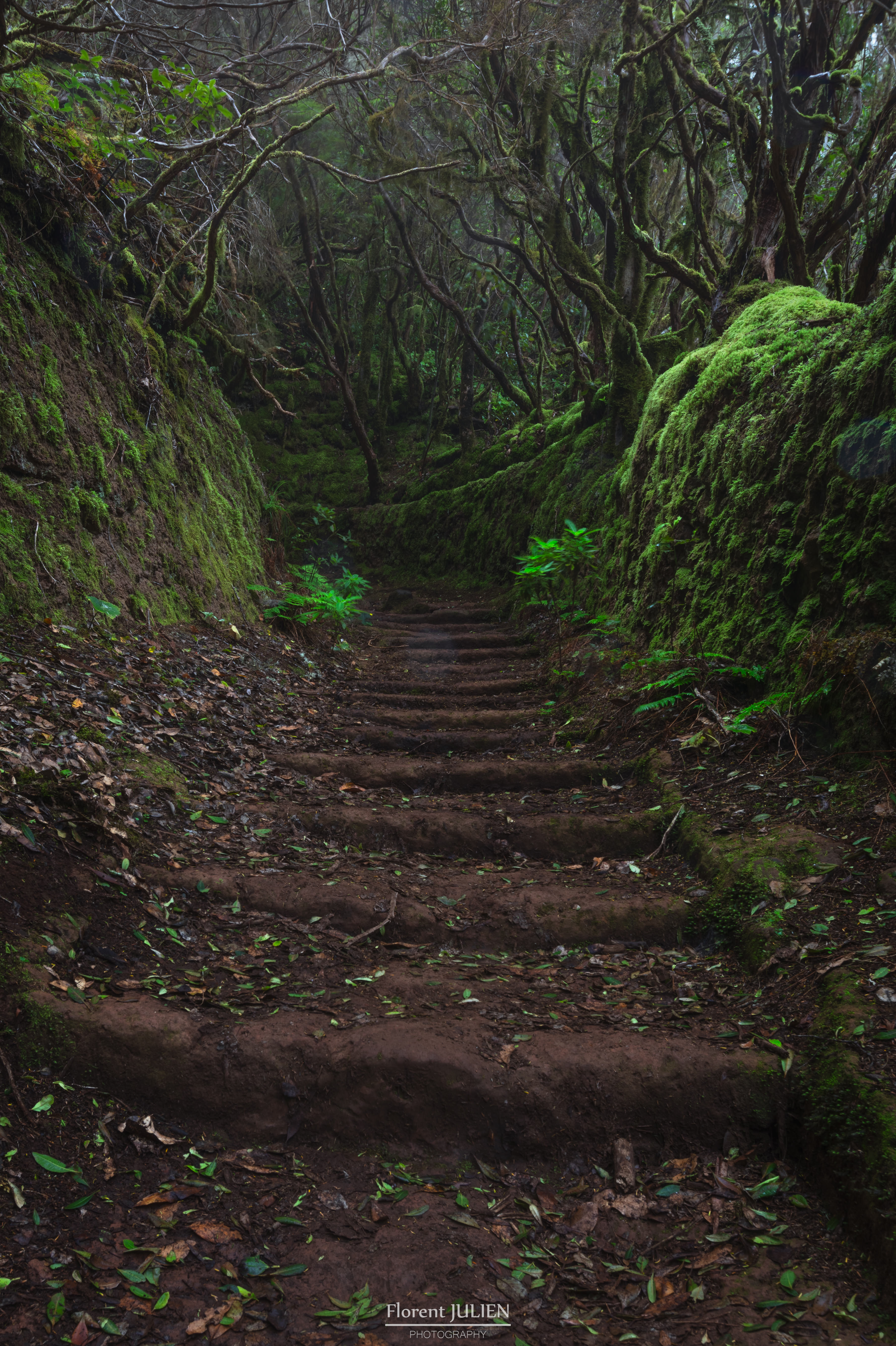 Parque rural de Anaga