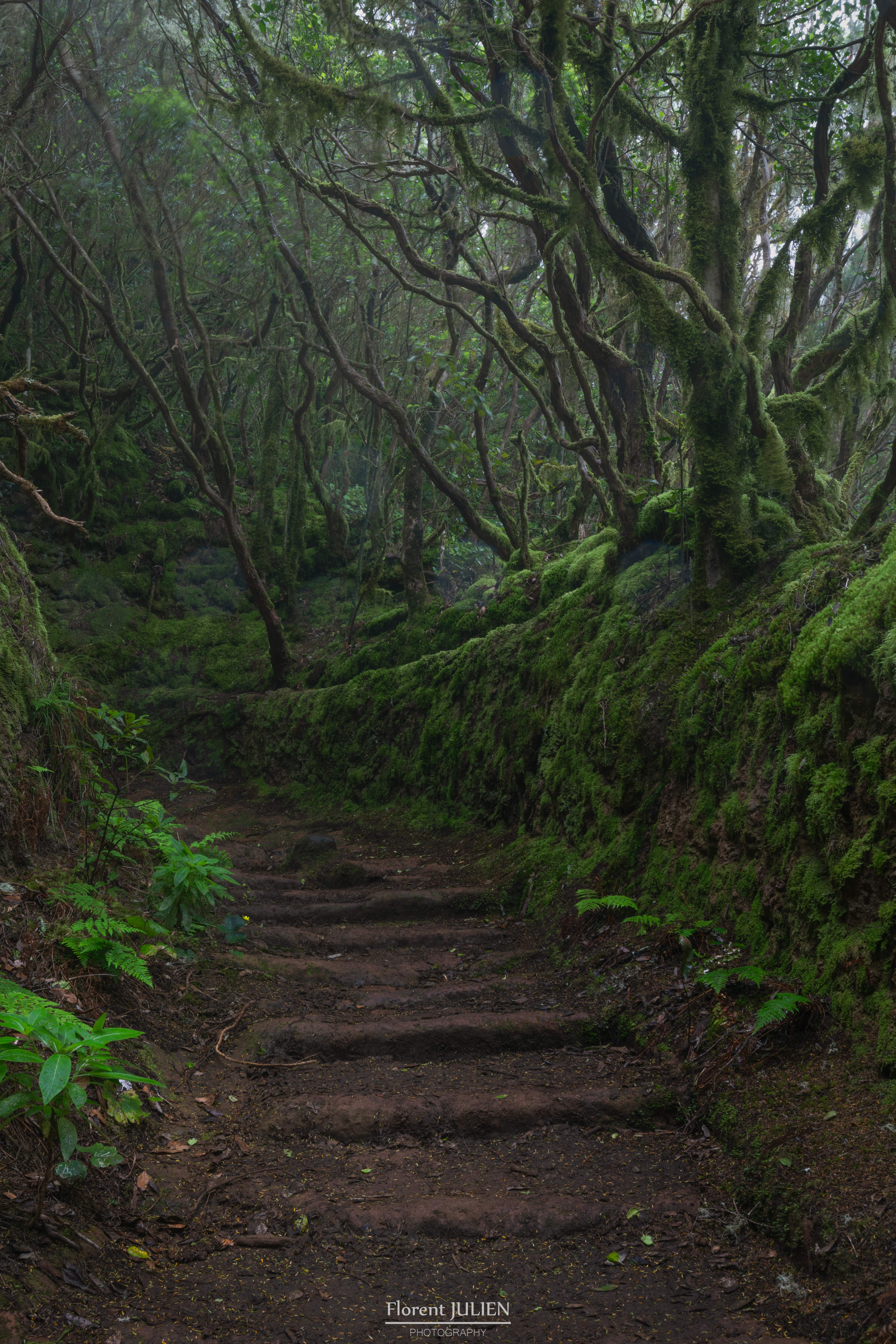Parque rural de Anaga