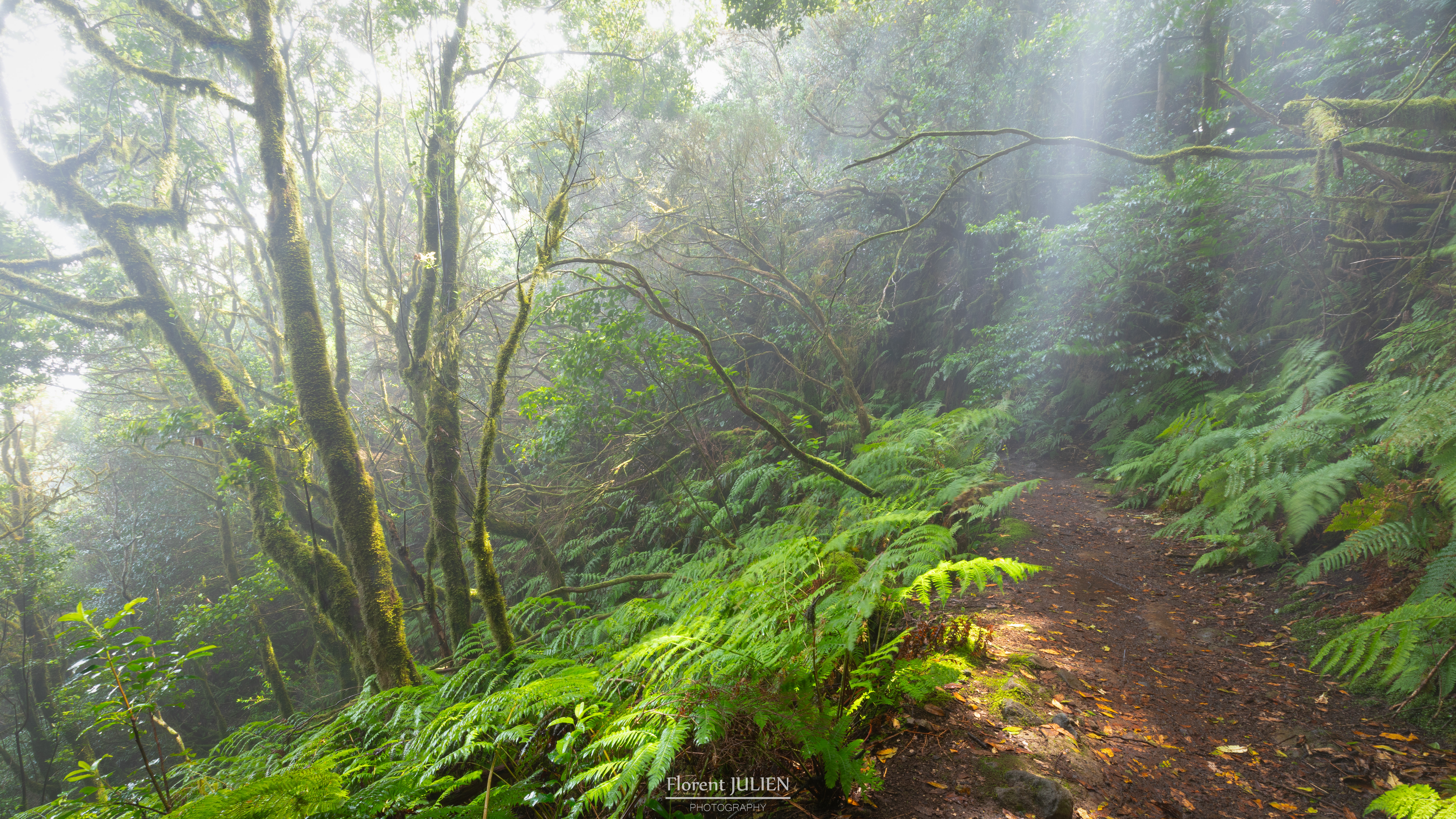 Parque rural de Anaga