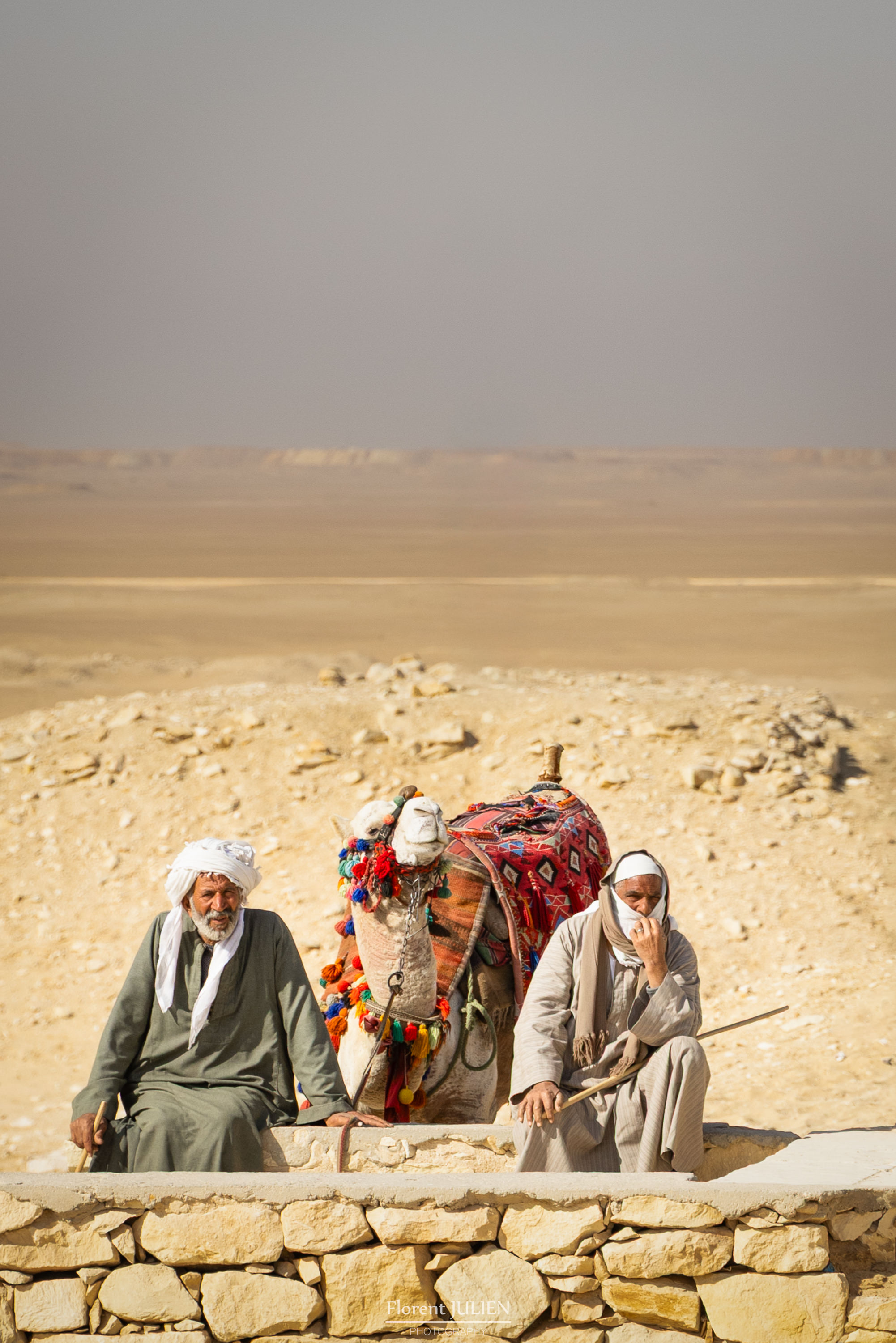 Scène de vie à Saqqarah